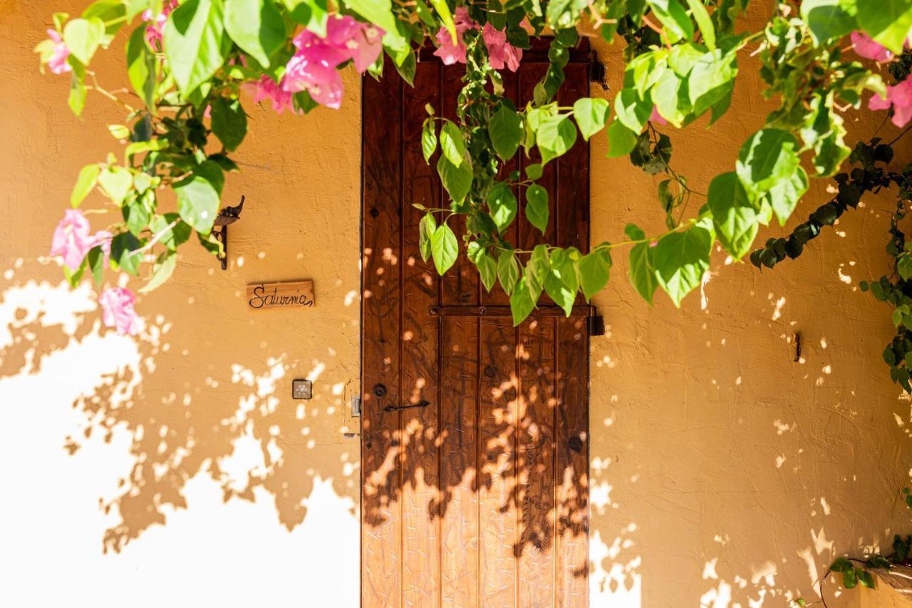 Las Mariposas San Antonio  Exterior photo