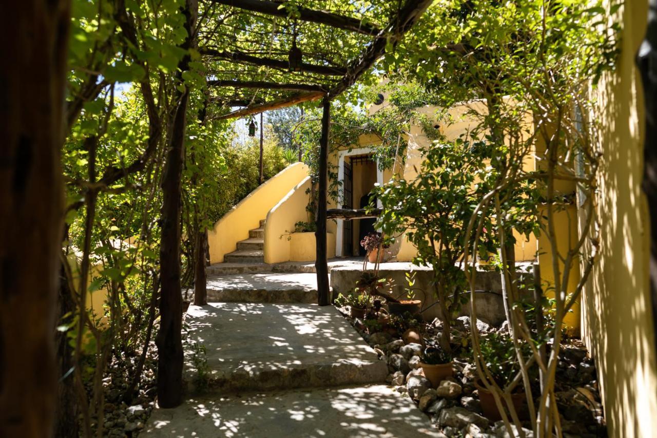 Las Mariposas San Antonio  Exterior photo